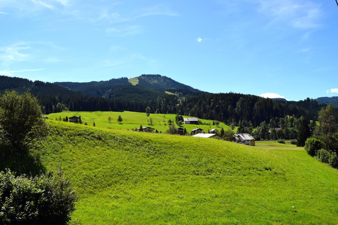 Hotel Kronenhirsch Rußbach am Paß Gschütt Exteriör bild